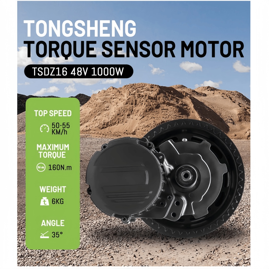 TONGSHENG TSDZ16 48V 1000W Ele - Mid Drive Conversion Kit 1000W recension och pris